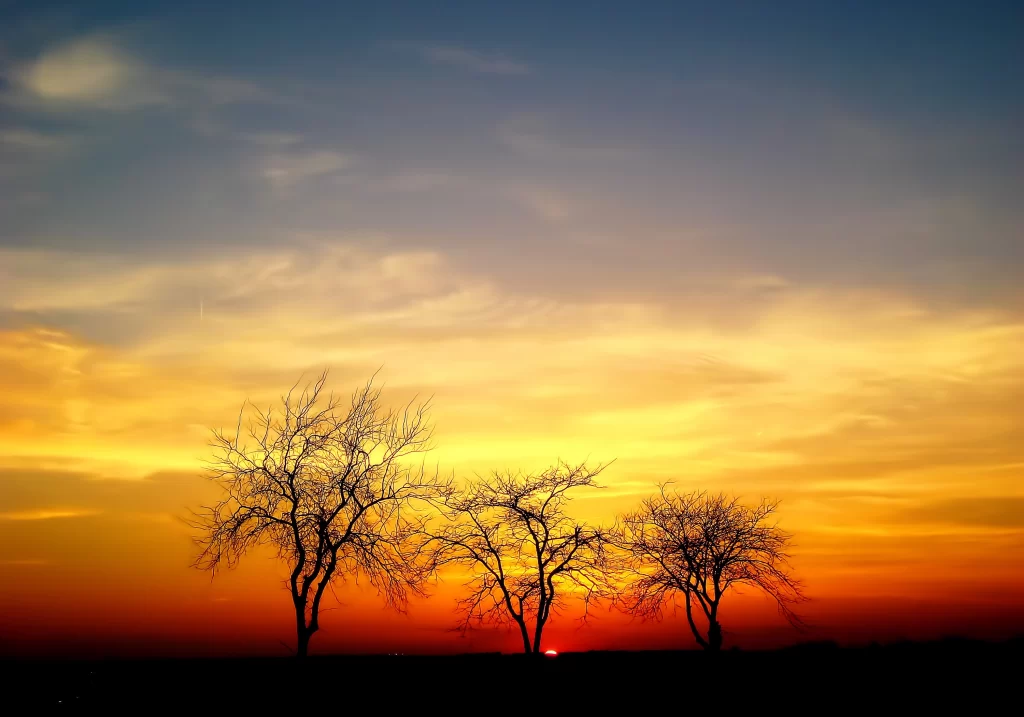 A photo of a Nebraska sunset with three trees in the foreground